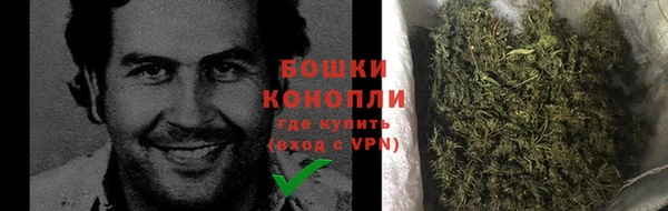 шишки Абаза