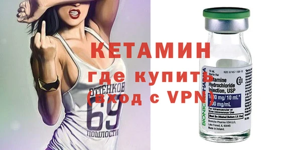 шишки Абаза