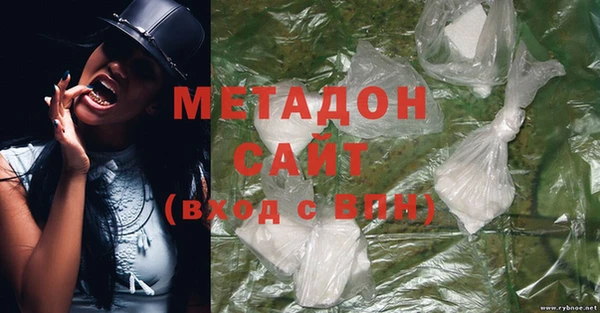 шишки Абаза