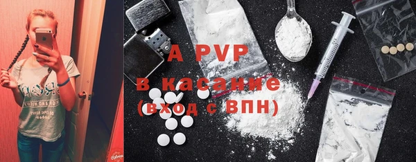 шишки Абаза