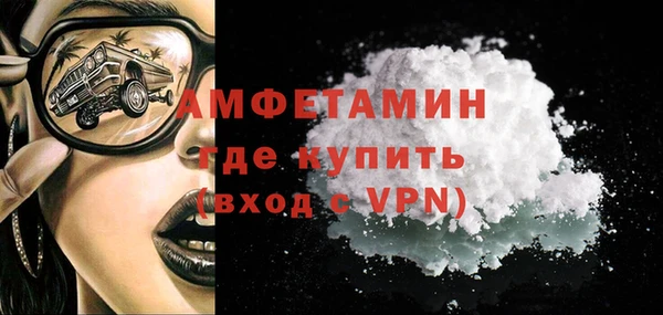 шишки Абаза