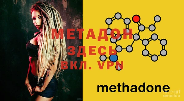 шишки Абаза