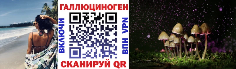 Галлюциногенные грибы Psilocybine cubensis Заринск